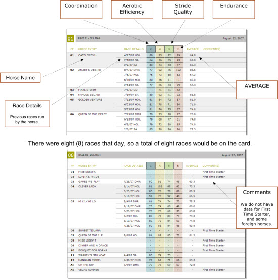 Case The Race - Sample Report