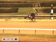 Biomechanic report on Kentucky Derby 2009 contender Desert Party